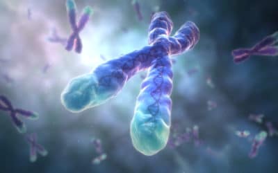 Hoe telomeren ziekte en veroudering kunnen veroorzaken