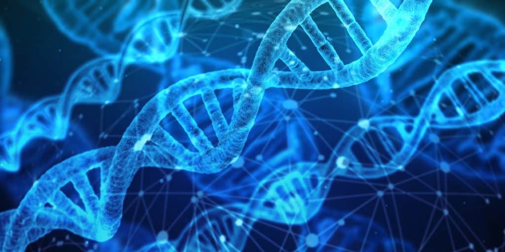 Het mysterie van ons DNA
