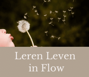 leren leven in flow