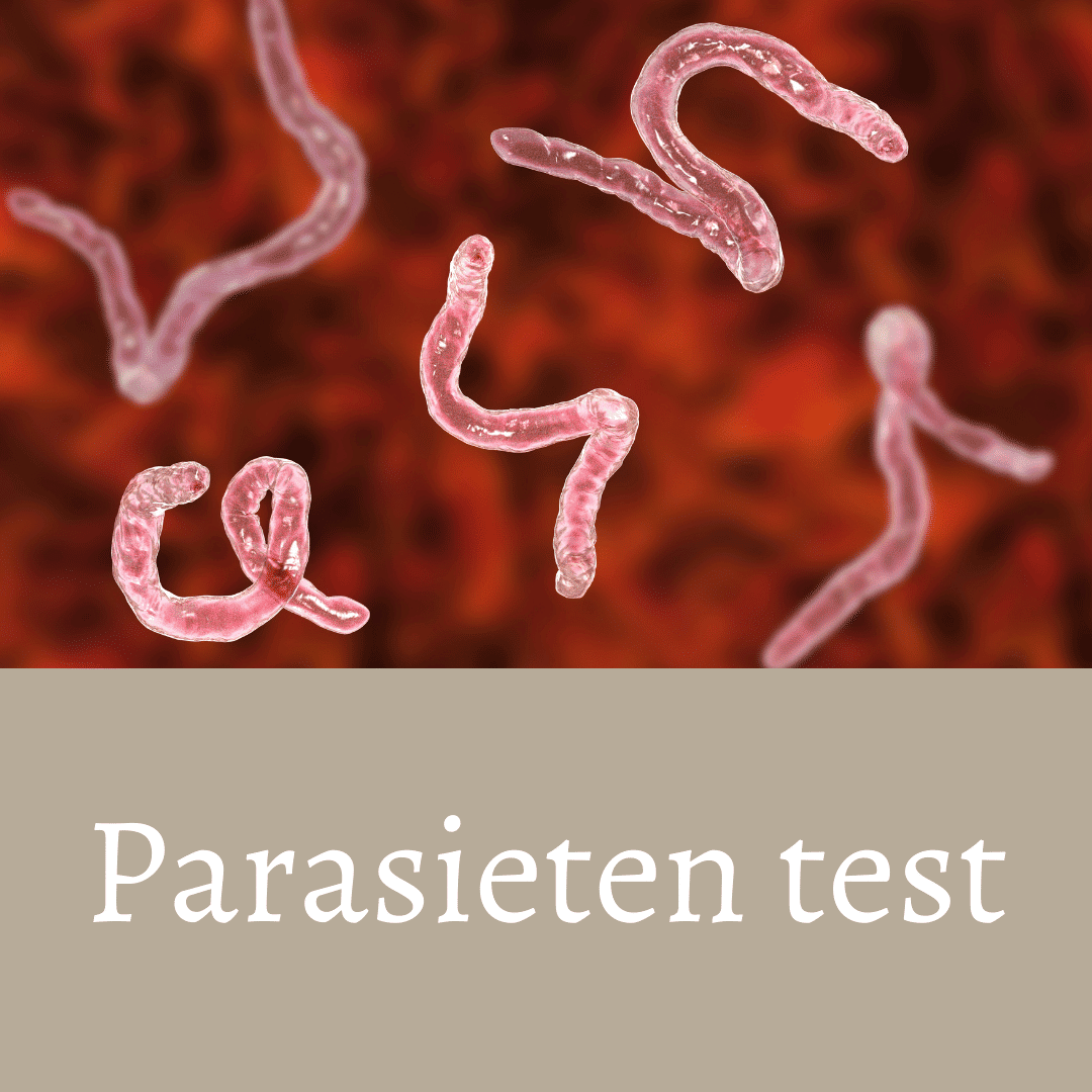 parasieten test 