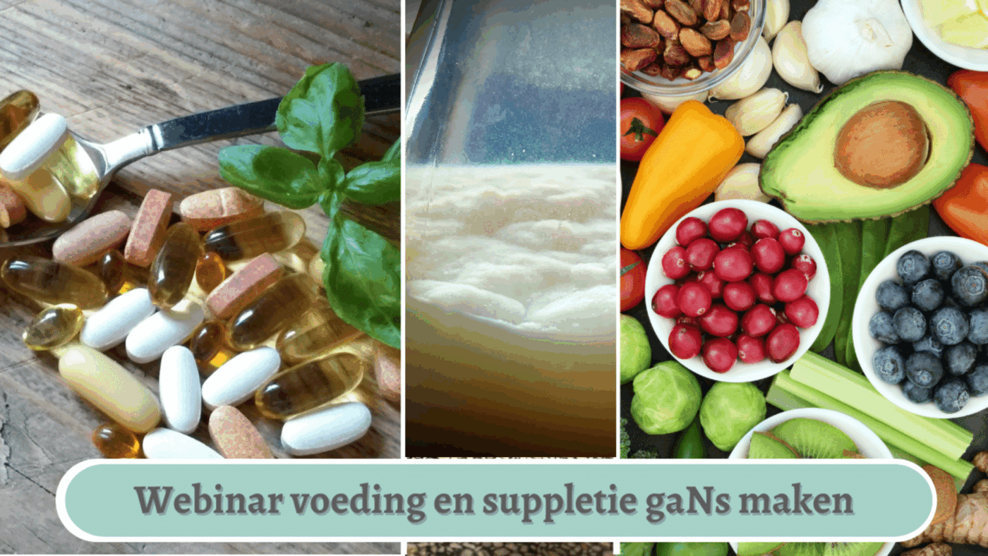 voedingsgans maken